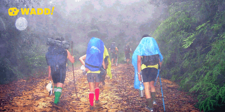 Hiking in Sarawak