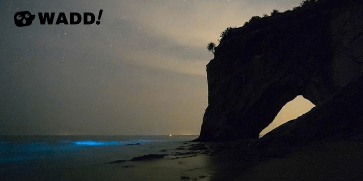 Blue Tears At Tusan Cliff Miri