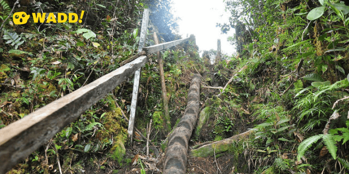 Trail to Gunung Murud
