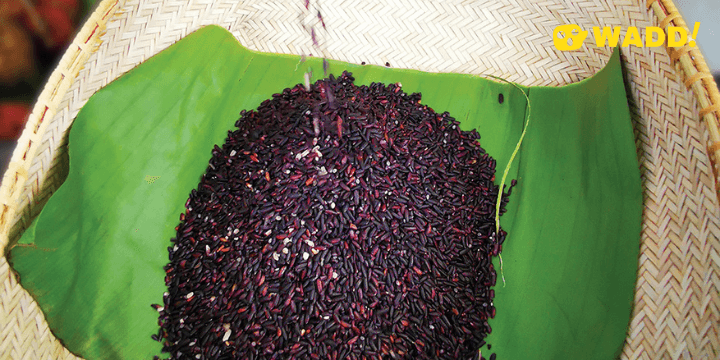 Bario Rice