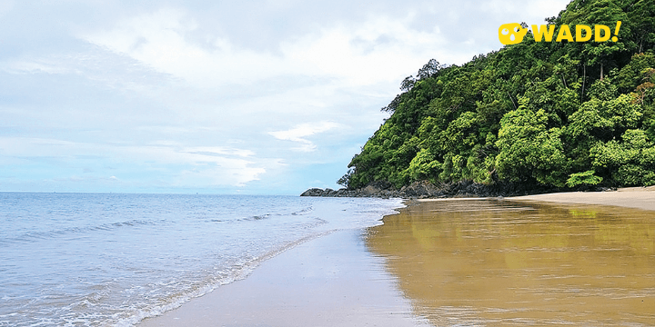 Sarawak Tanjung Datu National Park 