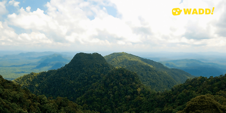 Sarawak Kubah National Park