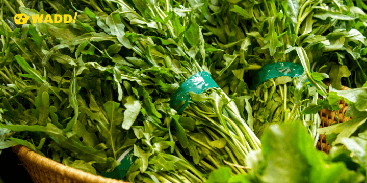 Green colour vegetable