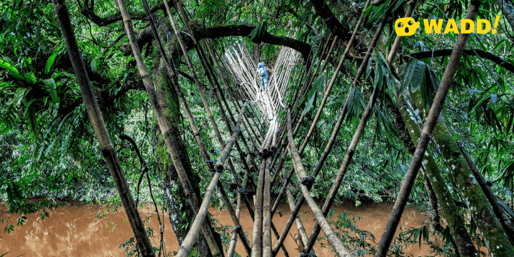 Bamboo Bridge in Semban