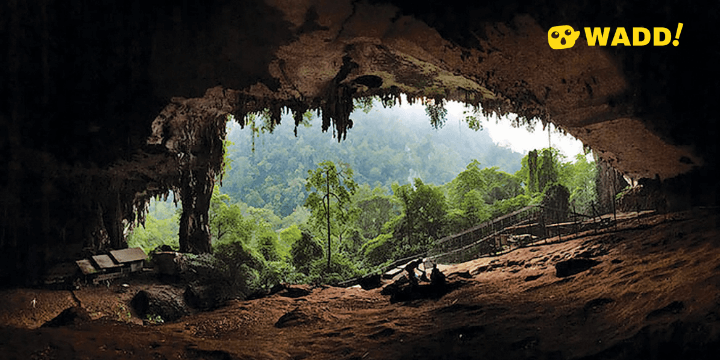 Sarawak Niah National Park 