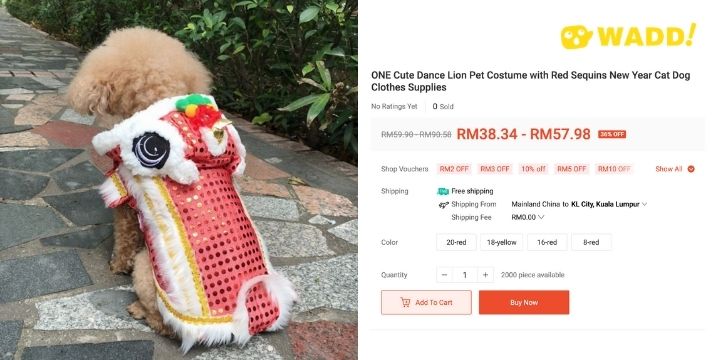 Cute lion dance Costume pet