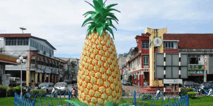 Sarikei Iconic Pineapple