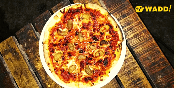 Sago Worm Pizza