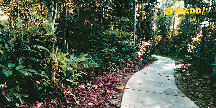 Sarawak Sama Jaya Nature Reserve 