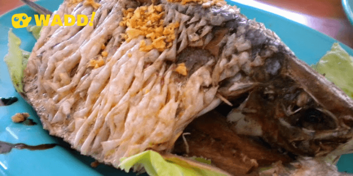 Deep fried Terubok Ikan