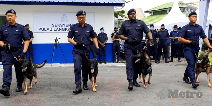 Kedah police in Langkawi drug bust with canine sniffer dogs