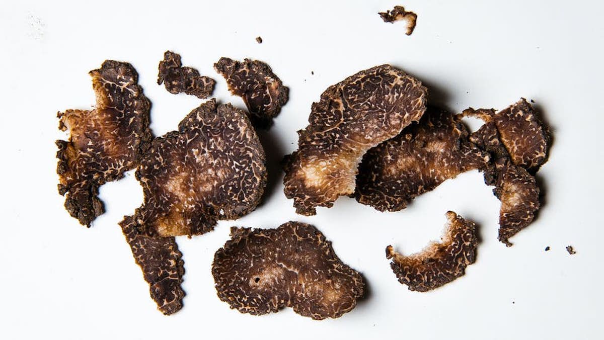 Truffle
