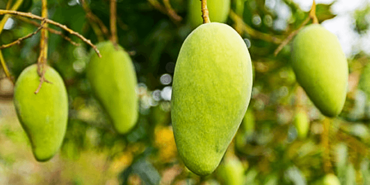 Fruits That Make You Poop!