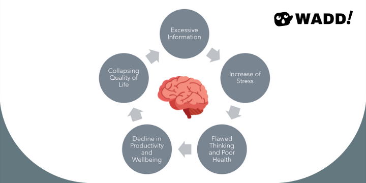 It's a question of autonomy versus overload. Back then, ignorance of ...