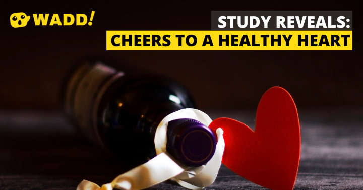 Study Reveals Wine Consumption and Cardiovascular Health Have An Inverse Relationship