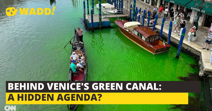 Venice's Canals Turned To A Vivid, Fluorescent Green?