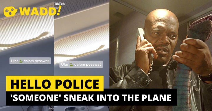 Snake On Plane, Yes Seriously (Video)